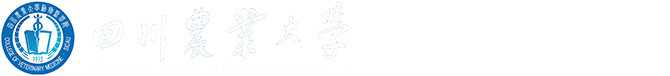红世一足官方网